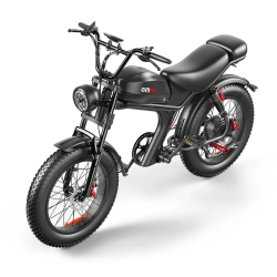 C93 Electric Bike 1000w