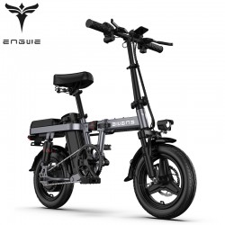 Small Electric Bike