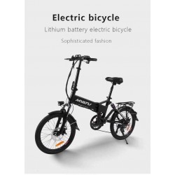 Foldable Electric Bike