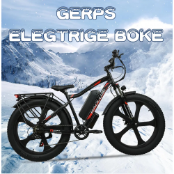 Electric Bike 1000W 13AH...