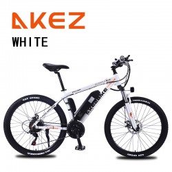 Akez-005 Electric Bike