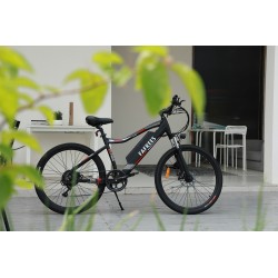 Fafree F100 Electric bike