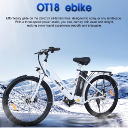 Electric Bike OT18