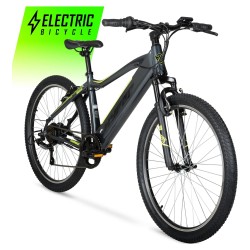 Mountain 1000W electric bike