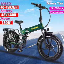 Polarna electric bike 750W...