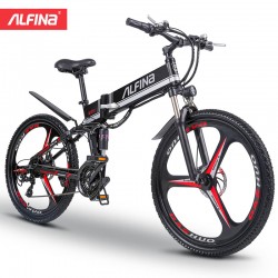 Alfina FX80 electric bike