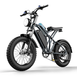 Mountain e bike EKX T1