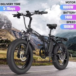 RIDSTAR G20 electric bike