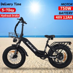 Baolujie Electric bike