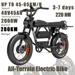 LANKELEISI electric bike 2000W