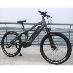 W electric bike