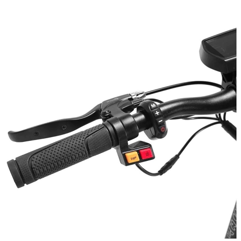Kugoo G2 Pro Electric Scooter