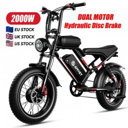 Electric bike S8 Dual motor...