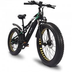 WL01 Ebike 500W with high...