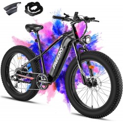 Freesky Himalaya Pro Ebike