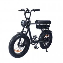 Vintage electric bike