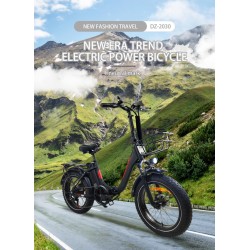 Electric Bike DZ-2030